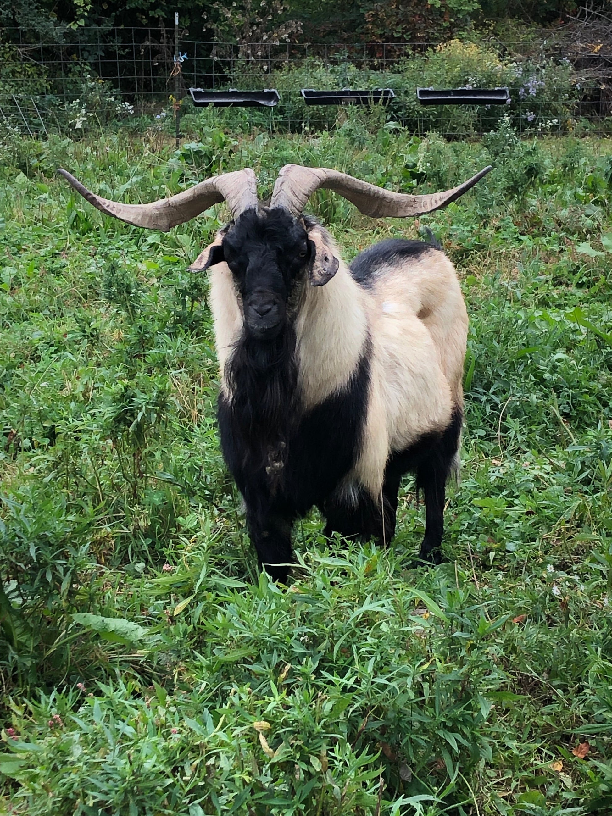 A TOUR OF THE FARM!