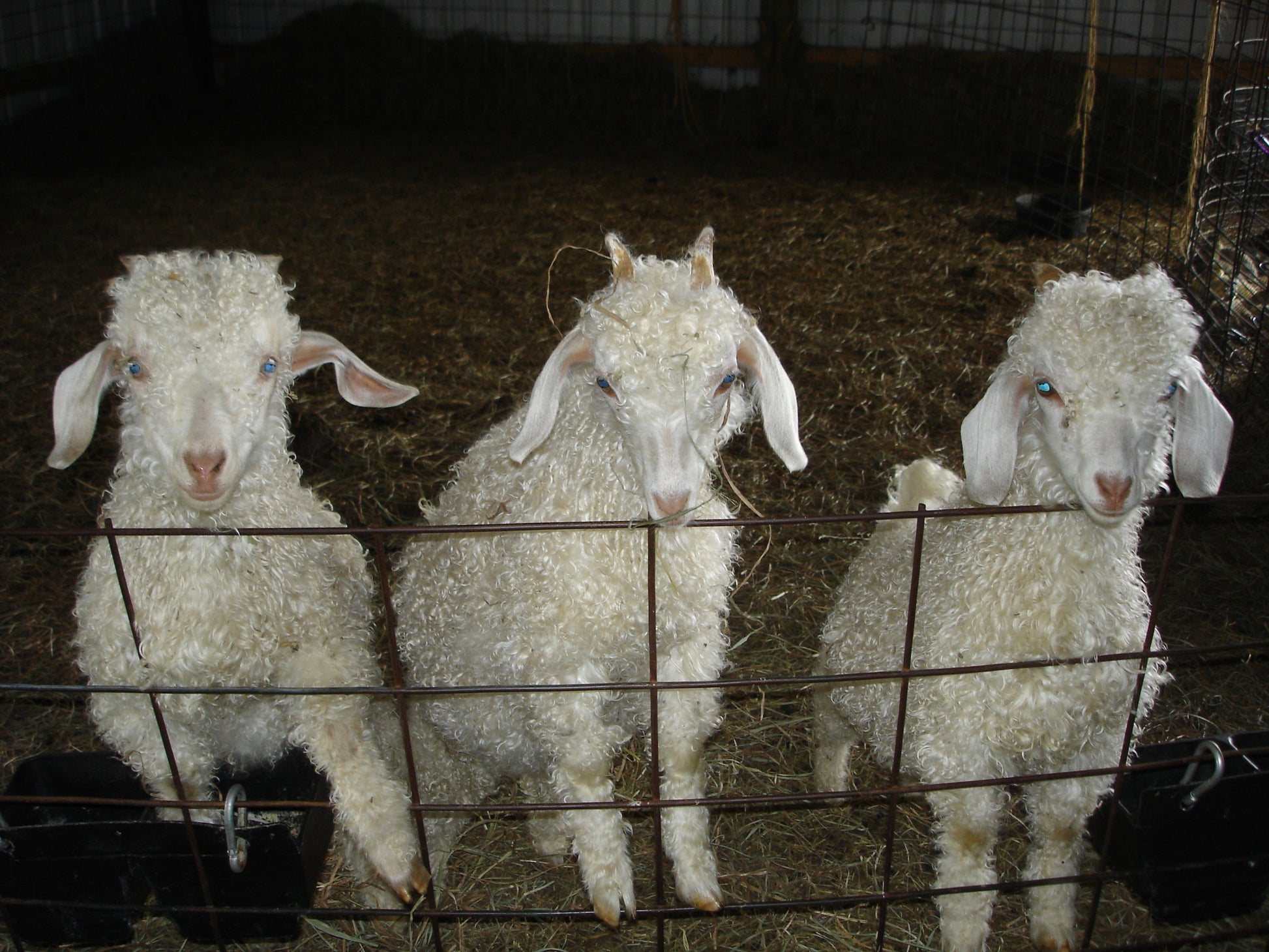 A TOUR OF THE FARM!